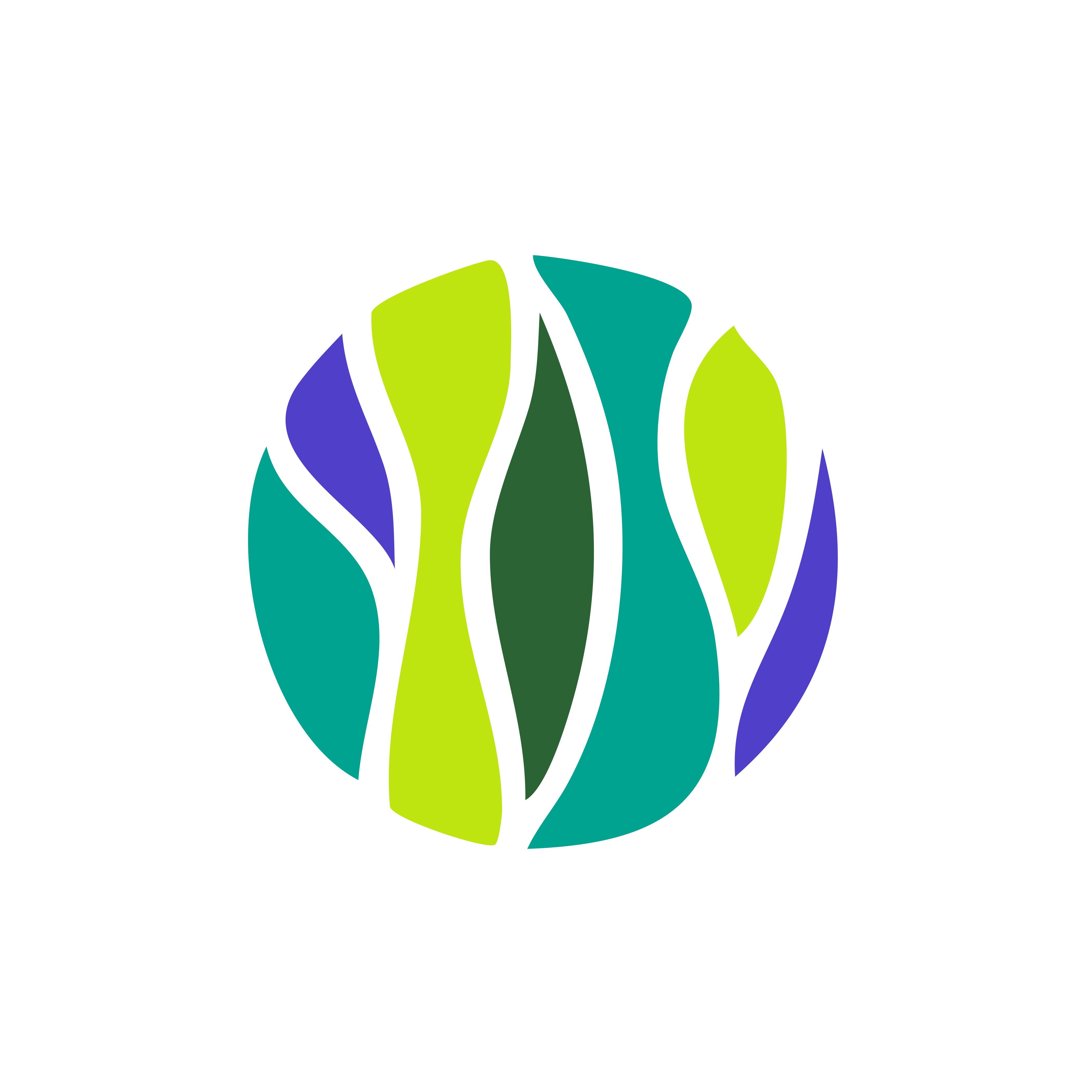 Schedir Logo